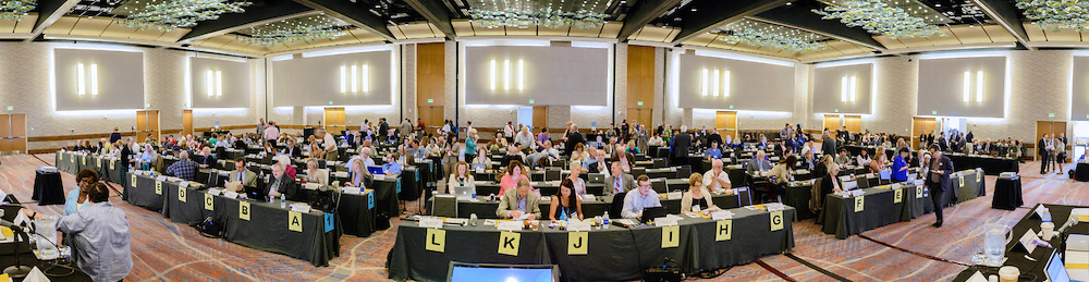 Council of Representatives meeting at the 2016 APA convention